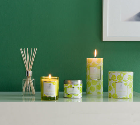 Persian Lime Scented Candles