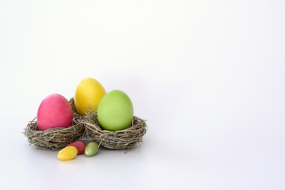 easter nest with coloured eggs